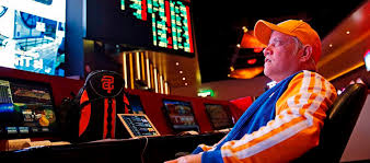 Вход на официальный сайт Casino Magnit